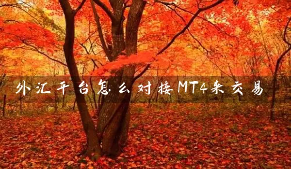 外汇平台怎么对接MT4来交易_https://www.518mht.com_期货直播室_第1张