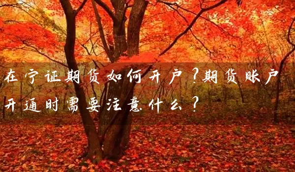 在宁证期货如何开户？期货账户开通时需要注意什么？_https://www.518mht.com_期货直播室_第1张