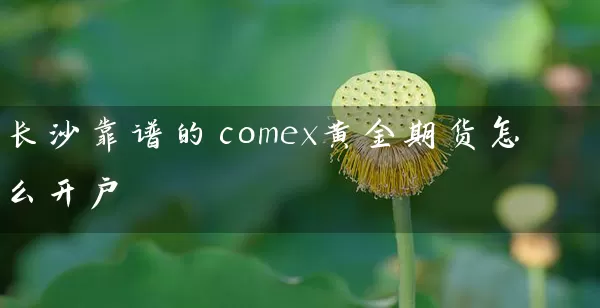 长沙靠谱的comex黄金期货怎么开户_https://www.518mht.com_期货直播室_第1张